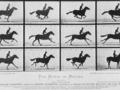 100 najważniejszych zdjęć świata. Eadweard Muybridge