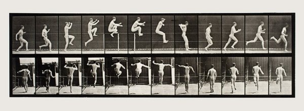 Eadweard Muybridge The Human and Animal Locomotion Photographs