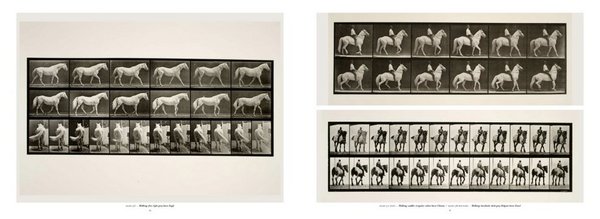 Eadweard Muybridge The Human and Animal Locomotion Photographs