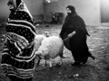 "Maroko - poza szlakiem" - wystawa polskich fotografów w Wiedniu