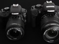 Canon 700D - pierwsze wrażenia i nasze zdjęcia przykładowe