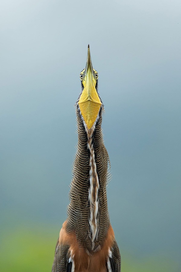 konkurs fotograficzny 