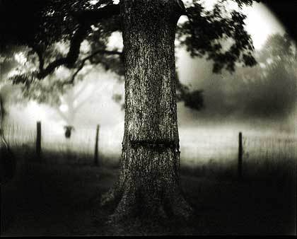 Sally Mann fotografka gorszycielka matka