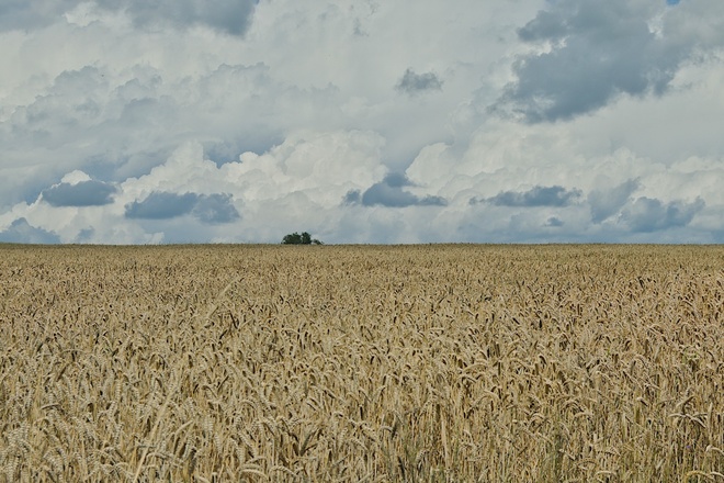 Krajobraz przed burzą