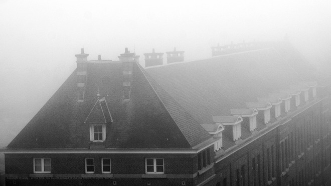 old style in the fog