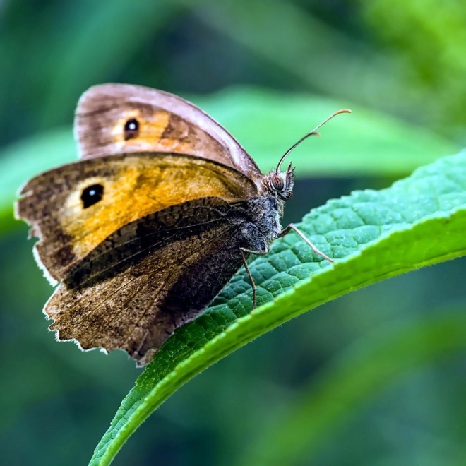 Jurtnia łapie ciepełko