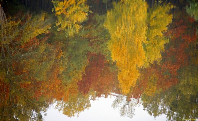 Na wodzie malowane jesienną barwą