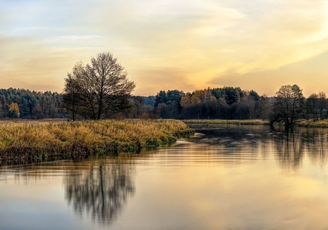 Nad Wartą