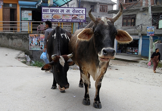 Namaste in Nepal...