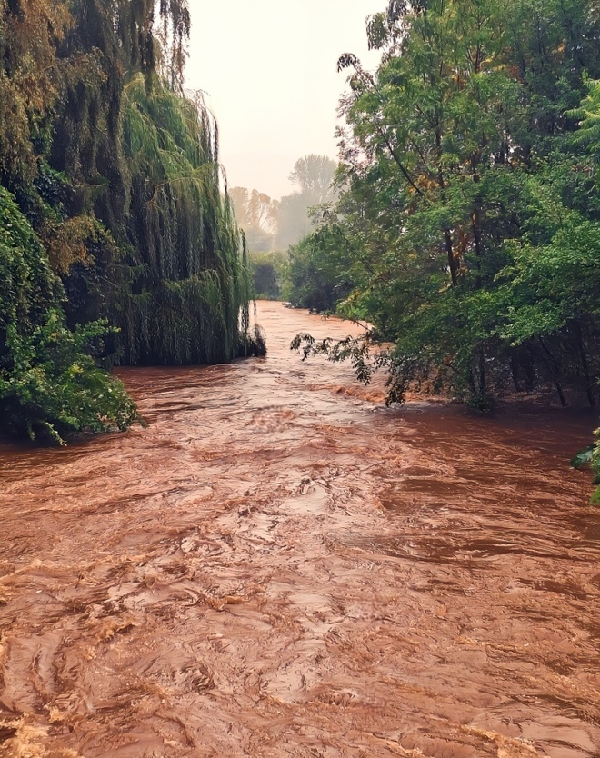 Pełcznica 15.09.2024.  :( 