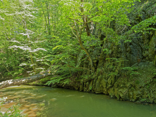 geologia przełomu rzeki Pełcznica