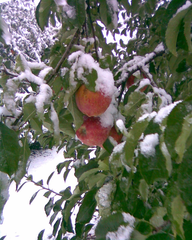 Październik 2009