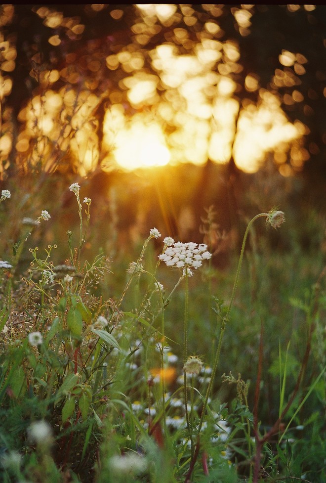 polish sunset