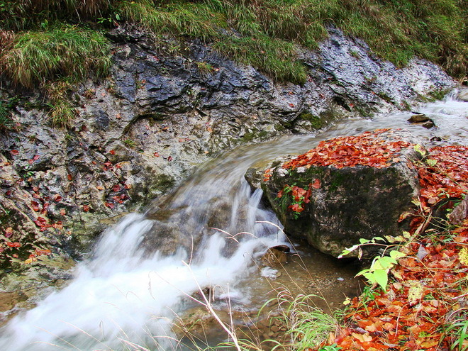 Jesień nad potokiem.