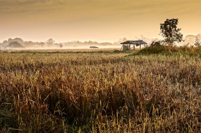 ...chiang rai...