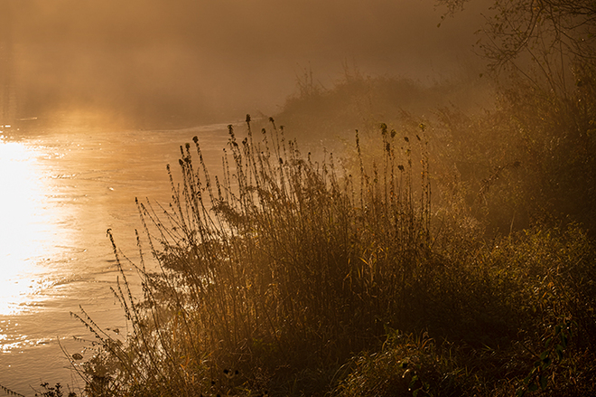 Nad rzeką