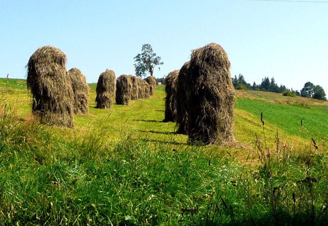 Podhalańskie chochoły