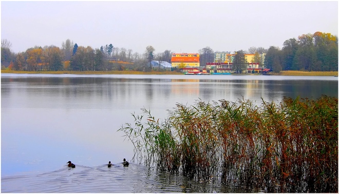 Jezioro kortowskie
