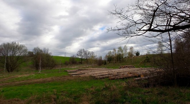 Wycieczki ciąg dalszy