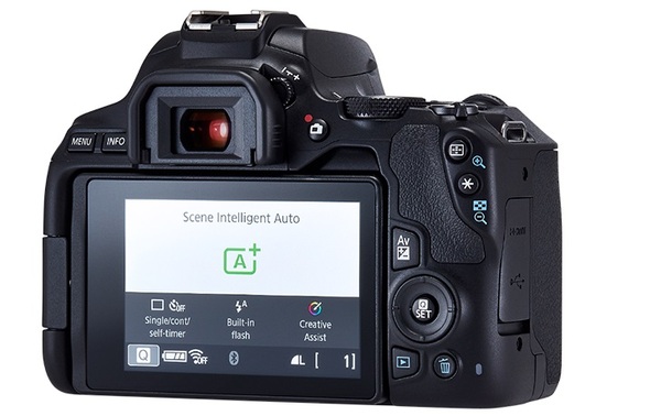 Canon EOS 250D lustrzanka
